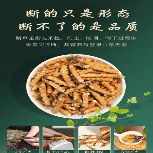[Inspección de calidad de apoyo] 10 gramos de césped roto grande Cordyceps sinensis Cordyceps sinensis Cordyceps sinensis y fertilizarse. Cordyceps sinensis 10 gramos empacan un gramo de cabello 11 gramos 11 gramos