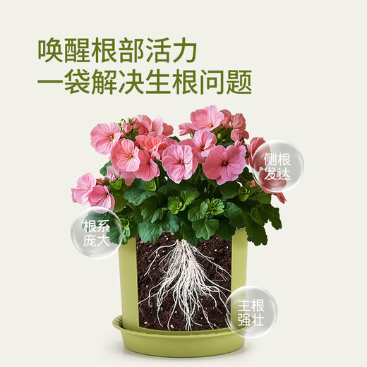 Stanley Rapid Rooting Powder Plant Universal Tree Transplanting Powerful Cutting Special 100g
