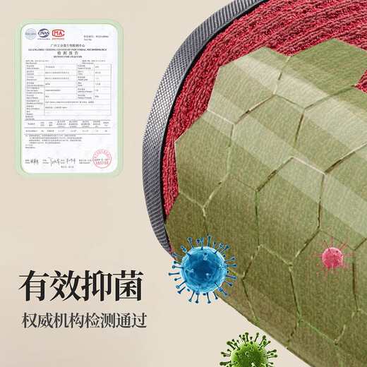 Southern Life high-end entry floor mats, light luxury foot mats, entry door mats, thickened door mats, non-slip mats, red carpets can be customized