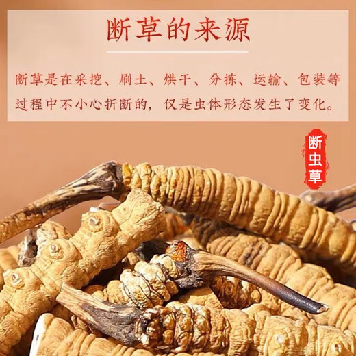 Beijing Tongrentang official store flagship broken Cordyceps Cordyceps Cordyceps complete high-altitude Cordyceps head stage high-quality hay 1 gram 2-3 roots 2-3 roots 1 gram Complete Cordyceps King 1 gram Vacuum packaging Lock the essence