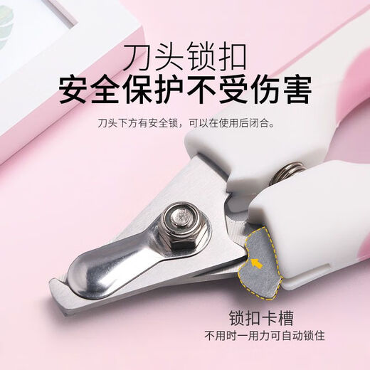 Captain Ban, suitable for novices, pet nail scissors, cat and dog grooming tools and supplies, with file, large sky blue - free file