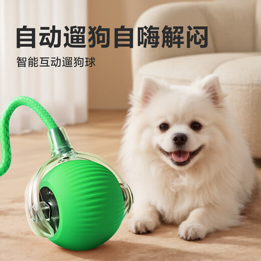 HELLOJOY dog toy bite-resistant ball, automatic dog amusing artifact, self-pleasure and boredom relief pet electric puppy smart elastic dog walking ball