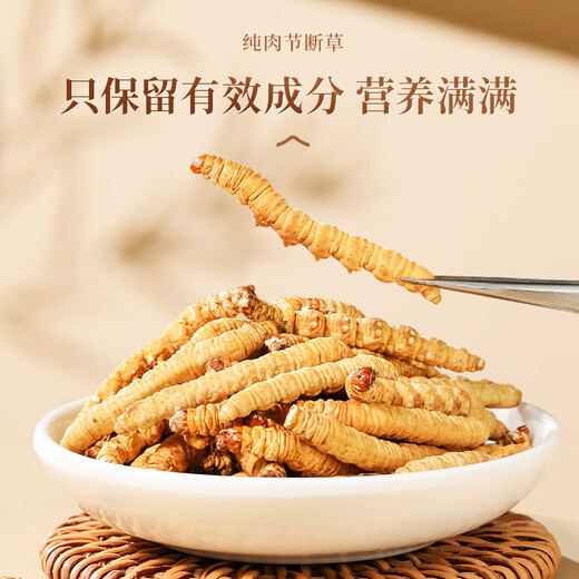 藏区高海拔冬虫夏草 精选大号断虫草滋补佳品 全虫纯肉节10克 精品大号断草【有草头】