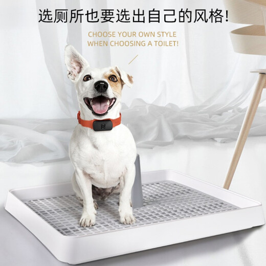 Zigman flip-up dog toilet toilet pet potty urinal small dog Teddy supplies dog toilet flat toilet - small [recommended within 7Jin [Jin equals 0.5kg]]*