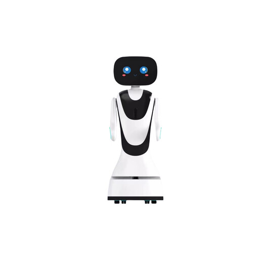 Xiaoyu AI Intelligent Welcome Hotel Business Reception Ausstellung Hall erklärt Voice Interactive Entertainment Service Robot Hotel Einkaufszentrum School Empfang Weiß