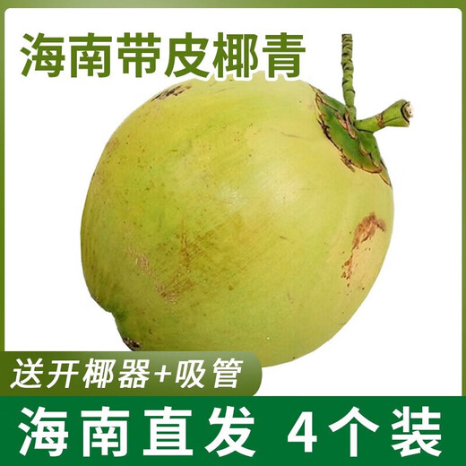Xirou Hainan Coconut Green Coconut with Skin Green Coconut Fresh Coconut Water Coconut Juice Fruit Healthy Drink for Pregnant Women Freshly Picked Green Coconut with Skin 4 Pack