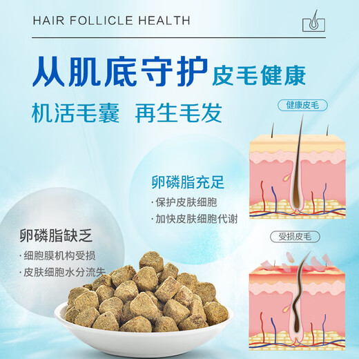 Mead's Dog Super concentré Lécithine 680G Teddy Golden Retriever Hair-Beautiful Skin Care Dog Lécithin