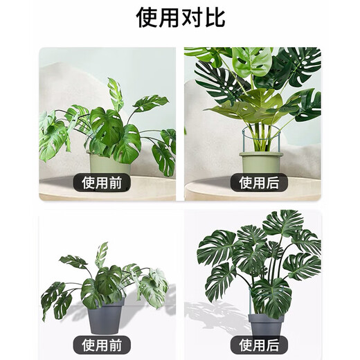 
Iron flower stand plant support semicircular crab claw orchid hydrangea rose green plant vine plant flower stand fixed leaf protection 30cmX50cm (2 pieces)