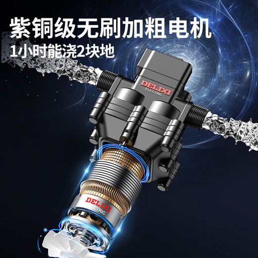 
Delixi water pump watering artifact watering machine rechargeable agricultural vegetable field irrigation home outdoor land irrigation artifact 698AF four-turbo large flow 40-meter storage car