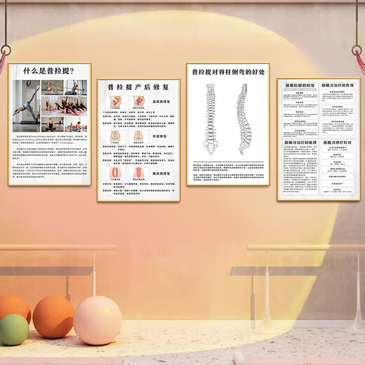 Jingtu Pilates decoration hanging painting yoga studio training classroom wall poster gym shaping studio cultural mural 15 six principles 40 width x 60 height cm KT board + gold PVC