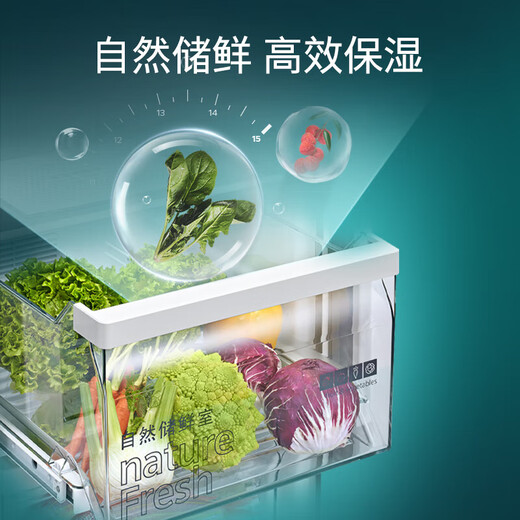 Siemens (SIEMENS) 637-liter double-door independent double-cycle refrigerator first-class energy efficiency energy-saving frequency conversion large capacity air-cooled frost-free precision control constant freshness national subsidy KT99V1250C