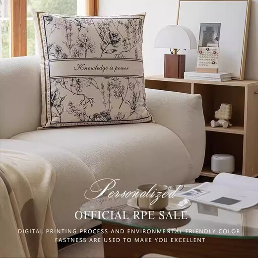 Yinshang American style pillow light luxury high-end sofa living room cushion pillow bedside large backrest large pillow case with core