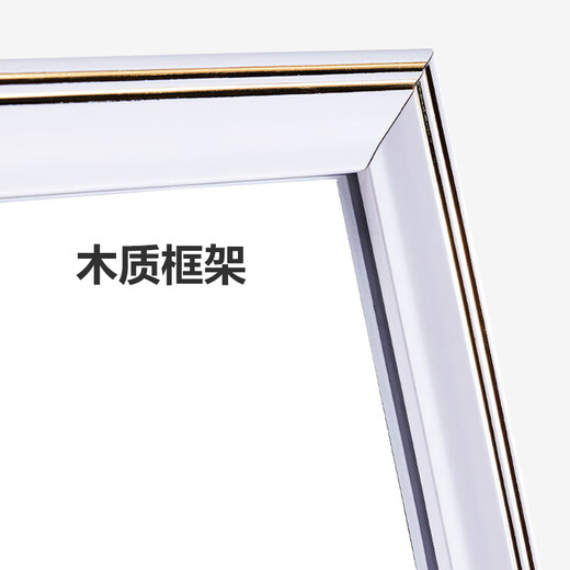 喻品【亏本清仓】穿衣镜 全身落地镜试衣镜家用防爆壁挂衣帽间 钢琴白 150*40cmJY21