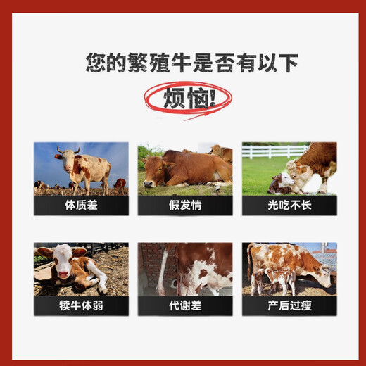 5% Cow Premix Dabeinong Core Technology Estrus Breeding Nutritional Lactation Prevent Postpartum Paralysis 1 pack Get 50Jin Jin is equal to 0.5kg