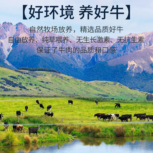 Kein ganzes Rindfleisch aus Brasilien importiert, mit Gras gefütterte, roh geschnittene Rinderrippen ohne Knochen, Nettogewicht 2Jin Jin entspricht 0,5 kg, frische Grillzutaten mit Rindfleisch und Knochen