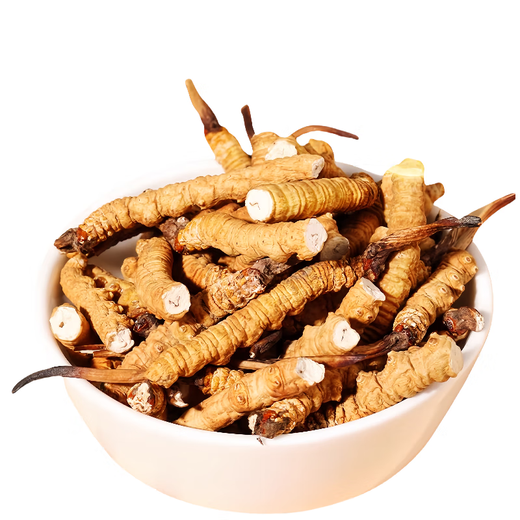 [Inspección de calidad de apoyo] 10 gramos de césped roto grande Cordyceps sinensis Cordyceps sinensis Cordyceps sinensis y fertilizarse. Cordyceps sinensis 10 gramos empacan un gramo de cabello 11 gramos 11 gramos