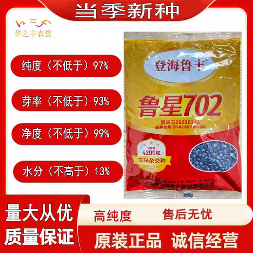 鲁星702玉米种子高抗青枯抗锈病高产抗虫红轴改良基因国审玉米种 登海鲁星7024200粒