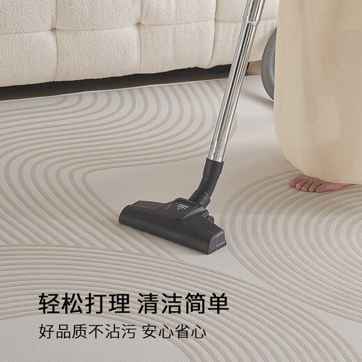 布迪思地毯卧室大面积满铺家用客厅毯沙发茶几轻奢防滑毯简约可定制地毯 现代6174【加厚圈绒】 240*400CM【属于定制不退换】