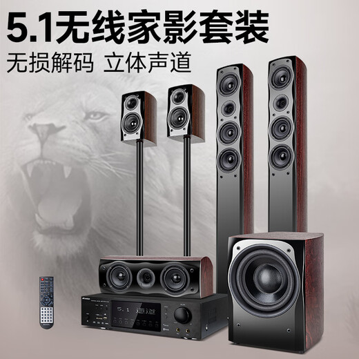 山水（SANSUI） F8 5.1无线家庭影院 木质家庭KTV音响套装 卡拉OK 落地式家居音响 5.1专享版【标配功放20A】