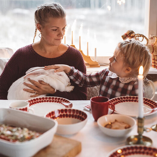ARABIA 1873 Finland National Pavilion Retro Blue 24-Hour Mug Ceramic Coffee Cup Nordic Tableware 24-Hour Series Red Mug