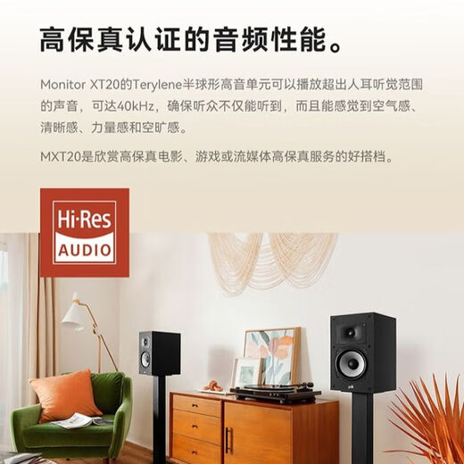 Polk (Polk) [Subvention nationale] MXT20 + Tianlong X1700 Amplificateur audio de base