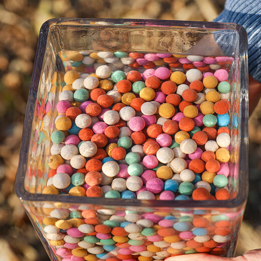 Shouhe colorful ceramsite flower cultivation hydroponic fish tank flower pot decoration colorful large ceramsite paving stone 8-10mm1000g