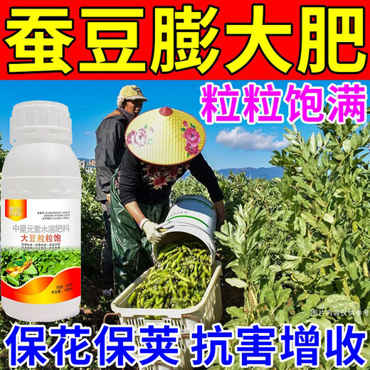 Special foliar fertilizer for broad beans to plump broad beans, keep flowers and pods straight and increase production, 100ml*5 bottles