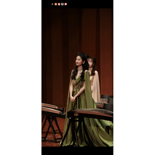 Wutuo Guzheng Dress Performance Clothing Customizable Performance Clothes Atmosphere Folk Music Solo Examination Stage Performance Student Art Examination Independent Green 2XL