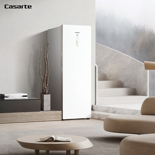 海尔（Haier）【旗舰升级】-40度立式冰柜 双变频超低温家用冷藏冷冻柜 风冷无霜 深冷速冻 一级能效  288WGCWNU1新品 星钻云岩白 288L