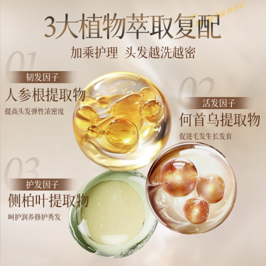 Qingzitang Prevención de jengibre y desarrollo de cabello de cabello Lea de orquidontic que restringiera al cabello resistente al control de aceite resistente a la picazón resistente a la duración de 500 ml