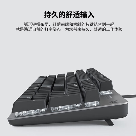 罗技G304  无线键鼠 游戏鼠标 K845有线游戏机械键盘 电竞键鼠套装 K845（红轴）+G304