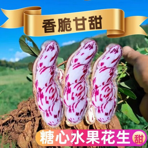 Candied Fruit Peanut Seeds Colorful Peanut Seeds Shelled Fresh Peanut Seeds Colorful Peanut Seeds Candied Fruit Peanut Seeds 100g Selected Belt