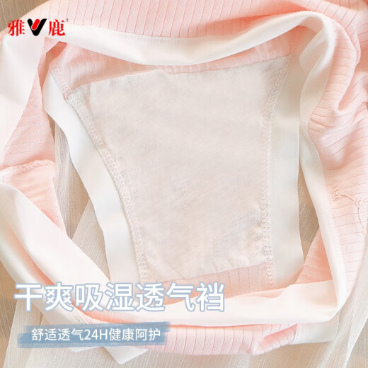 雅鹿内裤女透气少女中腰内裤女夏简约甜美少女内裤小熊  699# 699#五色各一条 5条 M 75-95斤