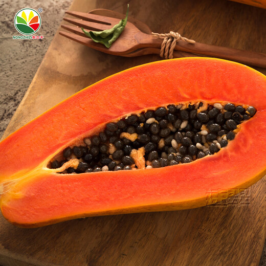 Nongzhi Hongfei Papaya Seeds are red-fleshed fruits grown in the south. Nongyou Hongfei Papaya Seeds 5g/red heart