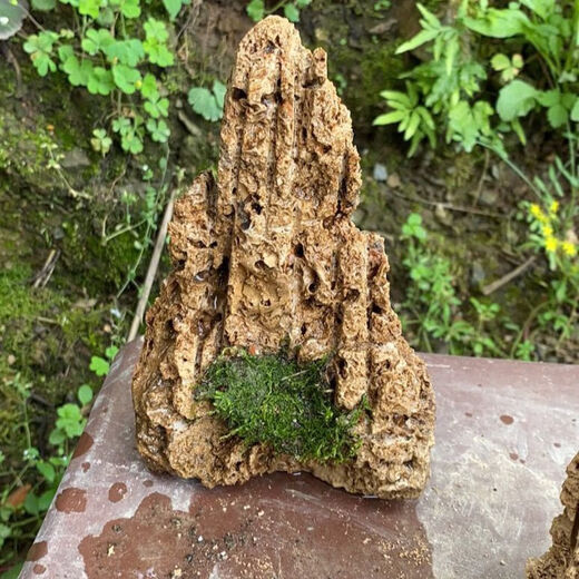 Water-absorbing stone bonsai rockery natural water-absorbing stone water-absorbing stone bonsai rockery bonsai strange stone original stone micro landscape construction height 10 cm does not include the pot with stones and moss