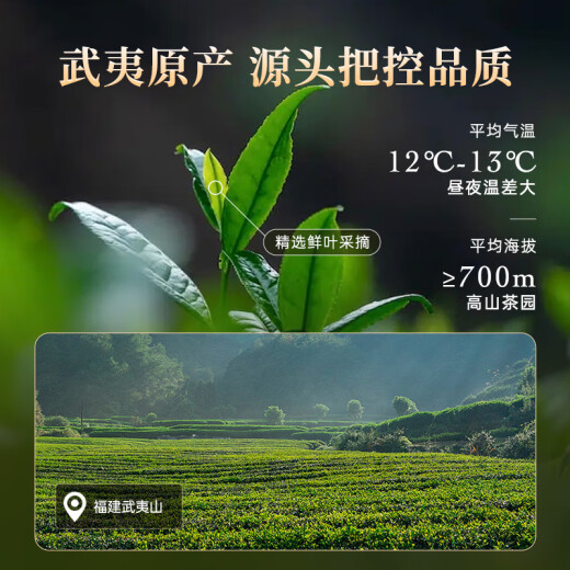 Huaxiangyuan Oolong Tea Wuyishan Rock Tea Cinnamon First Level 250g Medium Fire Canned Preferred Food Tea Leaves
