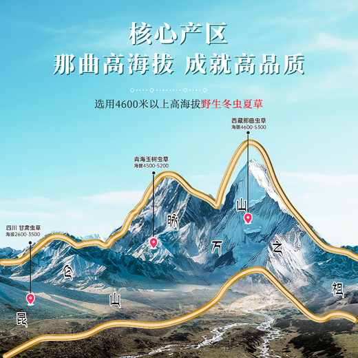 昭鹰之峰【野生】冬虫夏草 西藏那曲高海拔头期新干虫草 送父母滋补品礼盒 那曲野生4根/克30克 120根【尊雅礼盒装】