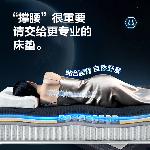 顾家家居[智惠系列]3D撑腰MAX天然乳胶床垫1098 M1098+8055极夜黑（2.0*2.2）