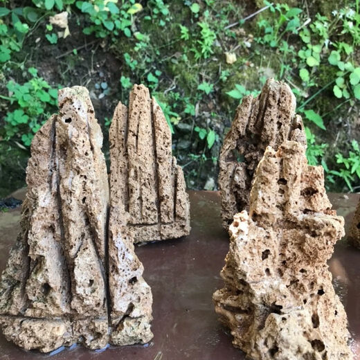 Water-absorbing stone bonsai rockery natural water-absorbing stone water-absorbing stone bonsai rockery bonsai strange stone original stone micro landscape construction height 10 cm does not include the pot with stones and moss