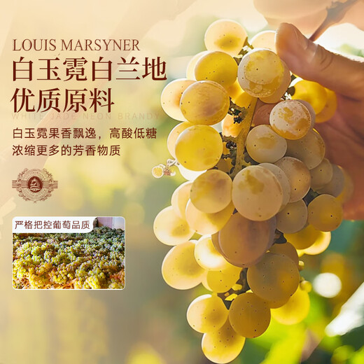 巴一戈尔法国进口洋酒XO40°烈酒微醺白兰地原酒进口700ml单支送礼礼盒