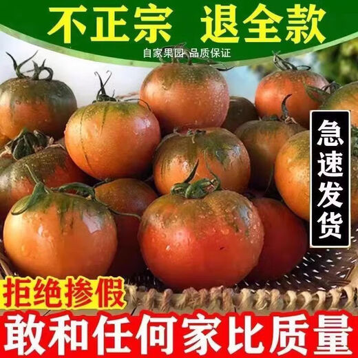Local large tomato seeds, high yield, super sweet, large red fruit, large tomato seeds, high temperature vegetable melon and fruit seeds, strawberry tin tomatoes, about 400 capsules 1 pack