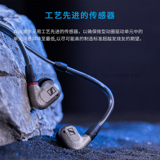 Sennheiser IE600 Professional HIFI In-Ear SE846 Xielantu IE900 Oficial Auténtico IE600+EBASSO DX180