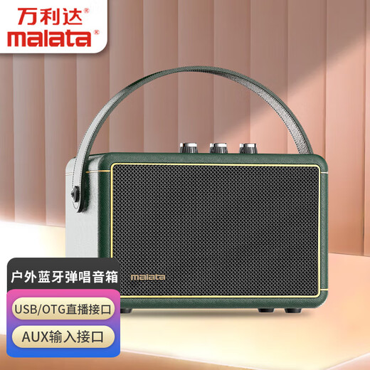 Malata (Malata) 9212 outdoor Bluetooth square dance electric acoustic guitar bass folk singing instrument speaker musical instrument singing speaker