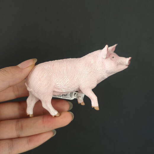 Simuliertes Sau Haus Schwein 13782 Geflügeltiermodell umweltfreundliche PVC -Kinderfüränk