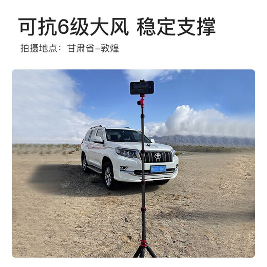 MANBILY MT02LH Mobiltelefon Ständer Live Shooting Selfie Stick Tripod Projector Landing Online-Kurs Outdoor Shooting MT-02LH