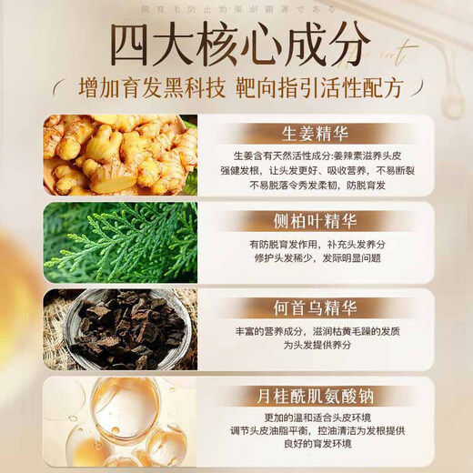 
Tongrentang Anti-Hair Depth Shampoo Ginger Hair Increase Anti-Hair Loss and Control Oils Fluffy Ginger Juice Solid Hair 508g*2 Bottles