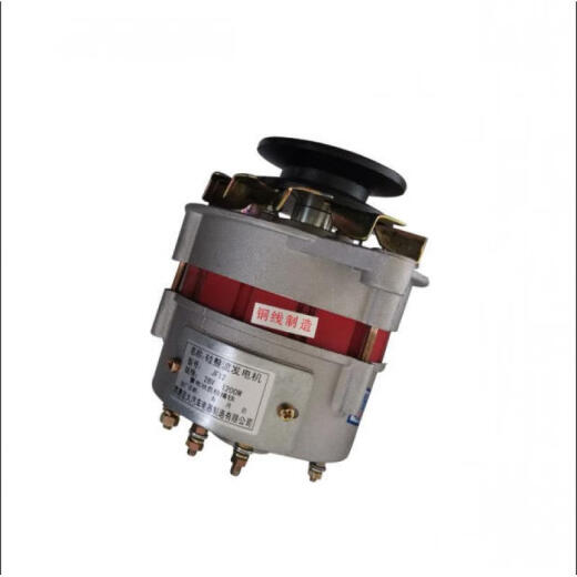 妙普乐农用车12v24v新铜时风动单缸柴油机发电机 带调铜线12V左旋JF11166-7