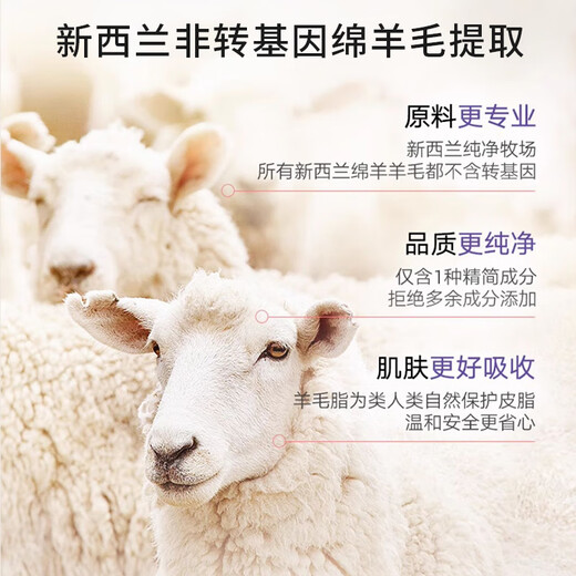 LANSINOH Nipple Cream Lanolin Cream Pregnant Women Nipple Cream Breastfeeding Cracked Moisturizing Lanolin Cream 40ml