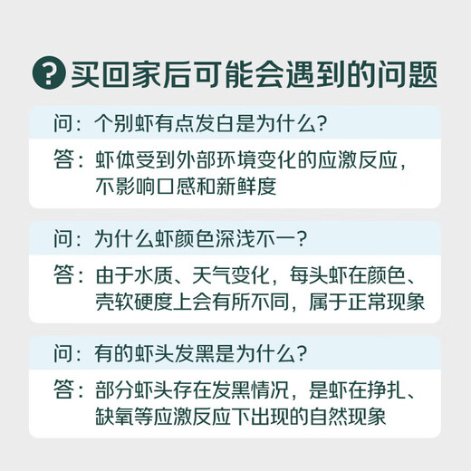 Large fresh extra large white shrimp 500g/portion (15-20 pieces)