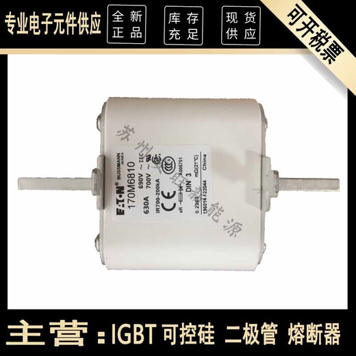 Kleisman 170M6810/6811/6812/16813/6814 NUEVO DE MEDIDO DE SEGURIDAD DE FUSE DE EATON NUNTO 170M6810